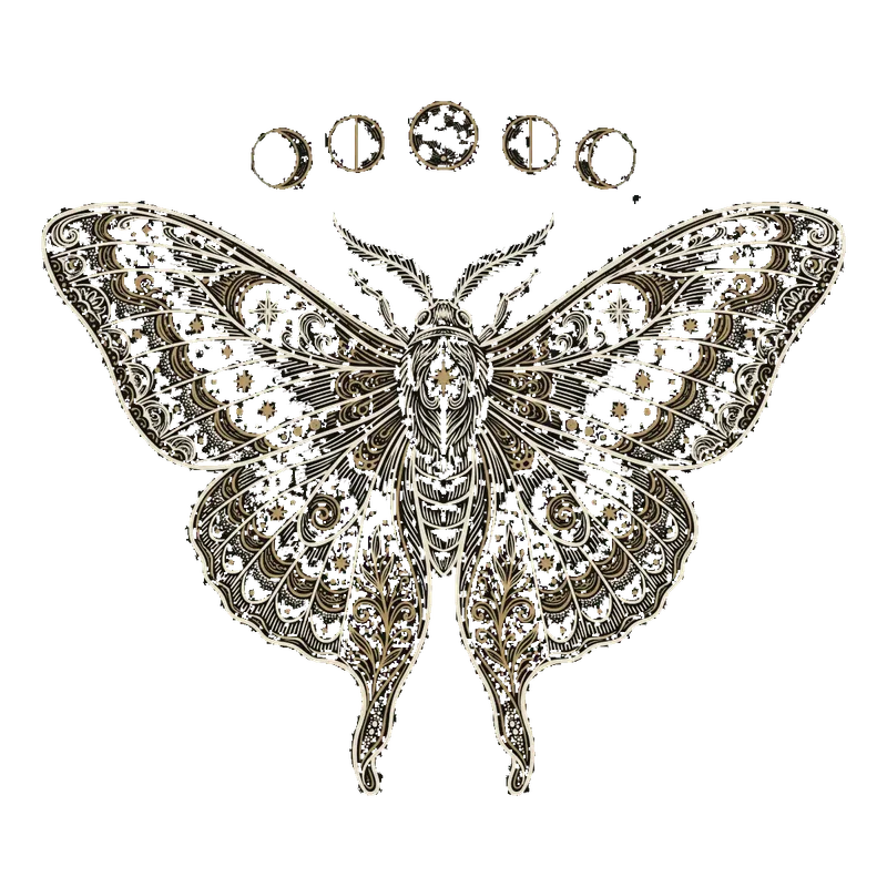 The gold moth drawing on a transparent background